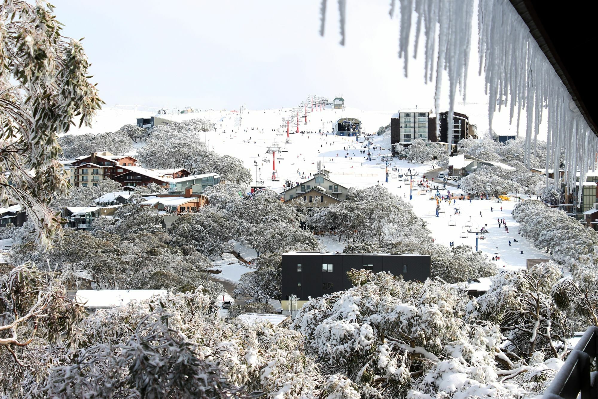 Hotel Alpine Retreat Mt Buller Mount Buller Zewnętrze zdjęcie